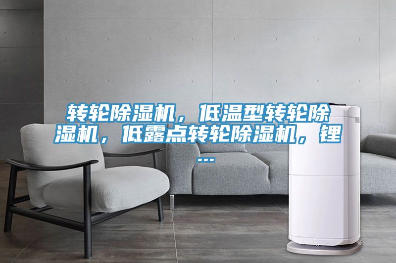 轉(zhuǎn)輪除濕機，低溫型轉(zhuǎn)輪除濕機，低露點轉(zhuǎn)輪除濕機，鋰 ...