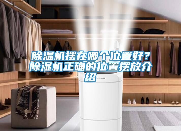 除濕機擺在哪個位置好？除濕機正確的位置擺放介紹