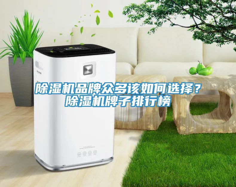 除濕機(jī)品牌眾多該如何選擇？除濕機(jī)牌子排行榜