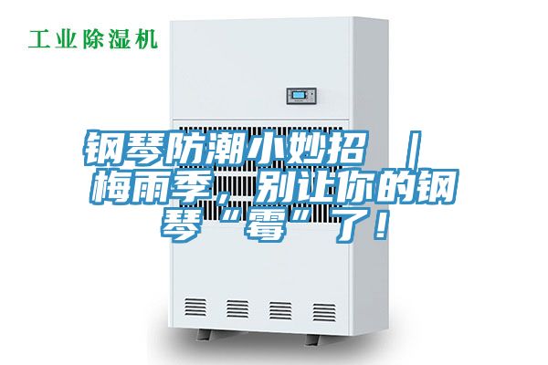 鋼琴防潮小妙招 ｜ 梅雨季，別讓你的鋼琴“霉”了！
