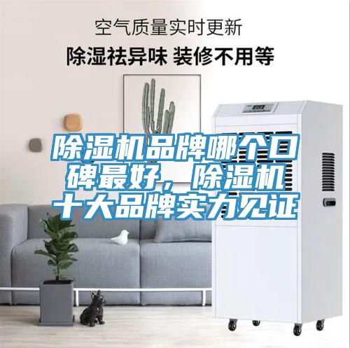 除濕機(jī)品牌哪個(gè)口碑最好，除濕機(jī)十大品牌實(shí)力見(jiàn)證