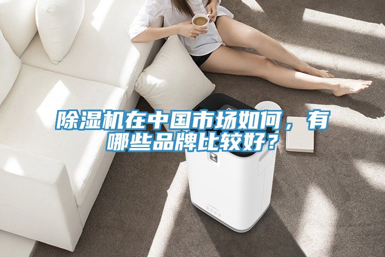 除濕機在中國市場如何，有哪些品牌比較好？