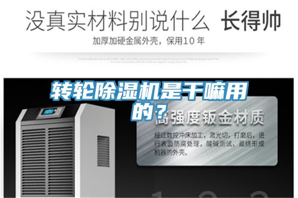 轉(zhuǎn)輪除濕機(jī)是干嘛用的？