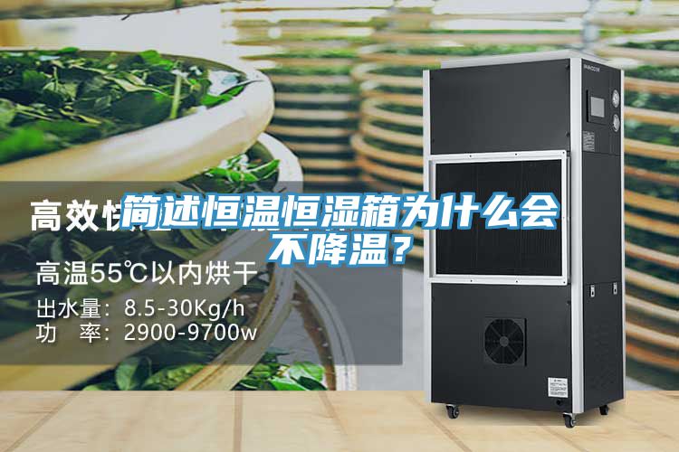 簡述恒溫恒濕箱為什么會不降溫？