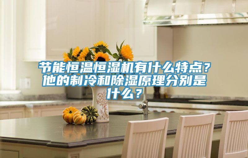 節(jié)能恒溫恒濕機有什么特點？他的制冷和除濕原理分別是什么？
