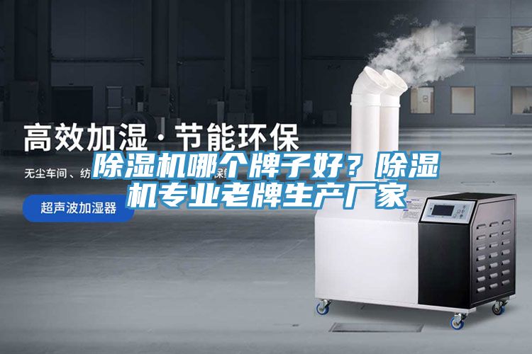 除濕機(jī)哪個(gè)牌子好？除濕機(jī)專(zhuān)業(yè)老牌生產(chǎn)廠家