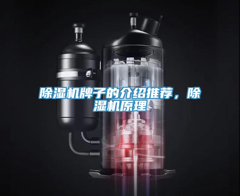 除濕機牌子的介紹推薦，除濕機原理