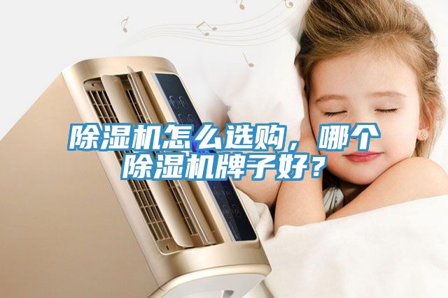 除濕機(jī)怎么選購，哪個(gè)除濕機(jī)牌子好？