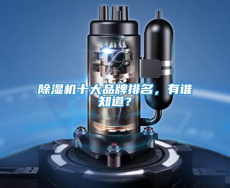 除濕機(jī)十大品牌排名，有誰知道？
