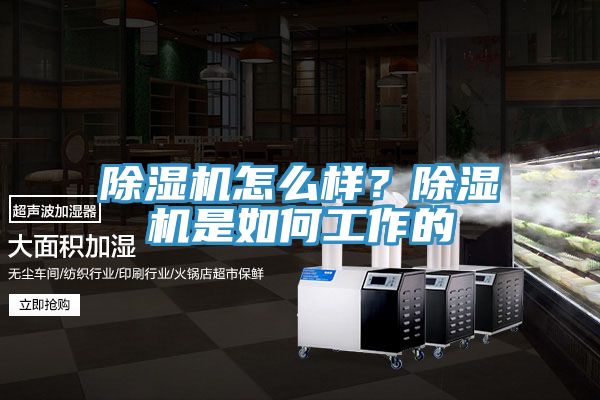 除濕機怎么樣？除濕機是如何工作的