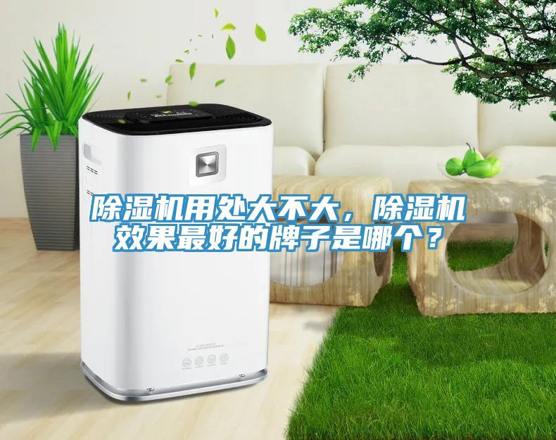 除濕機用處大不大，除濕機效果最好的牌子是哪個？
