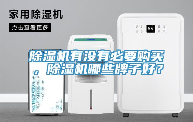 除濕機(jī)有沒(méi)有必要購(gòu)買(mǎi)，除濕機(jī)哪些牌子好？