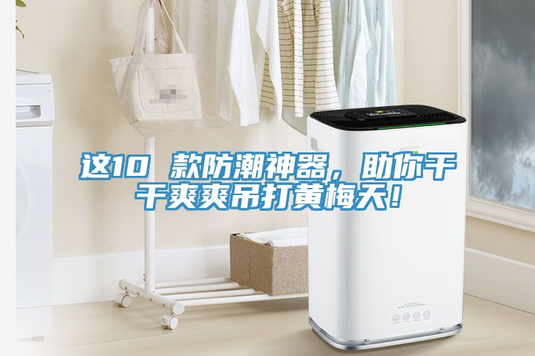 這10 款防潮神器，助你干干爽爽吊打黃梅天！