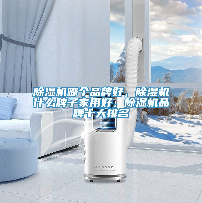 除濕機(jī)哪個品牌好，除濕機(jī)什么牌子家用好，除濕機(jī)品牌十大排名