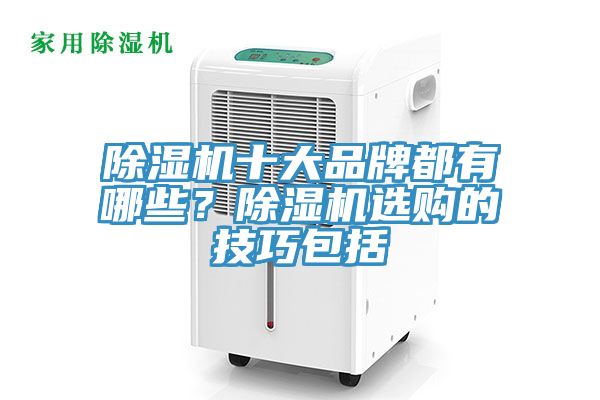 除濕機(jī)十大品牌都有哪些？除濕機(jī)選購的技巧包括