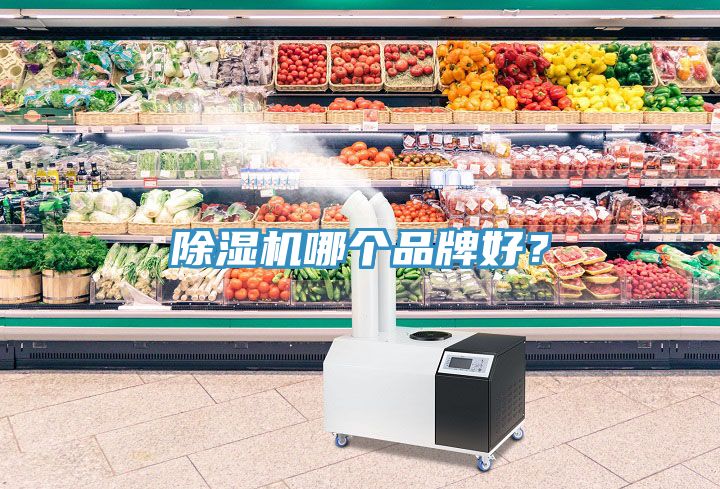除濕機(jī)哪個品牌好？