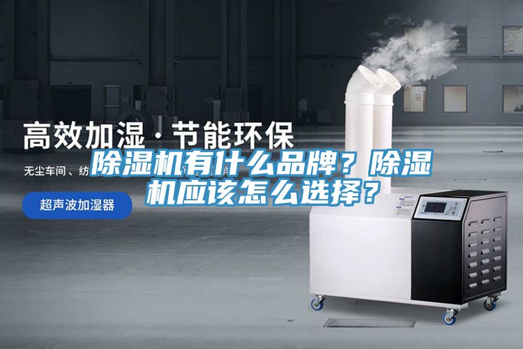 除濕機(jī)有什么品牌？除濕機(jī)應(yīng)該怎么選擇？