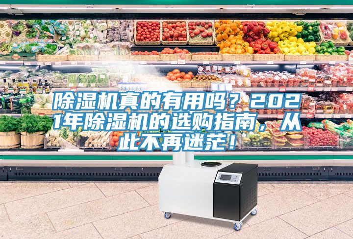 除濕機真的有用嗎？2021年除濕機的選購指南，從此不再迷茫！
