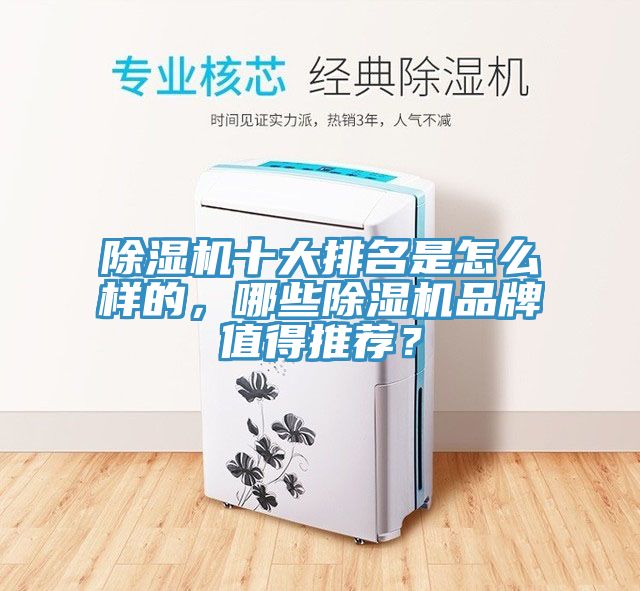 除濕機(jī)十大排名是怎么樣的，哪些除濕機(jī)品牌值得推薦？