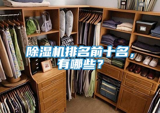 除濕機(jī)排名前十名，有哪些？