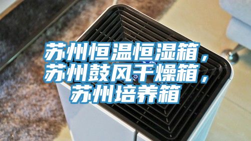 蘇州恒溫恒濕箱，蘇州鼓風(fēng)干燥箱，蘇州培養(yǎng)箱