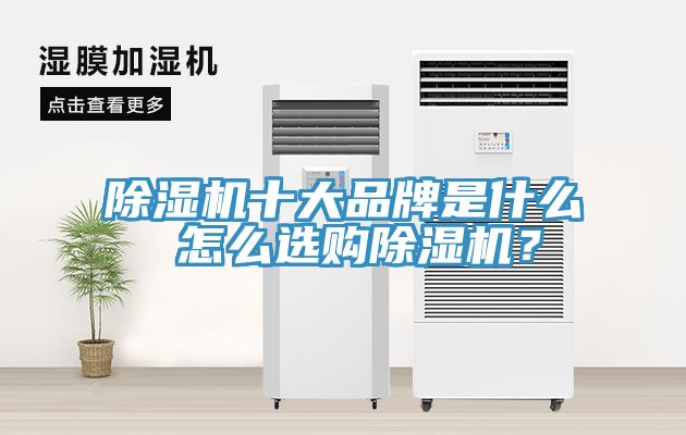 除濕機(jī)十大品牌是什么 怎么選購除濕機(jī)？