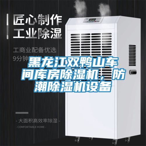 黑龍江雙鴨山車(chē)間庫(kù)房除濕機(jī)，防潮除濕機(jī)設(shè)備