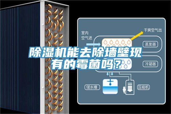 除濕機(jī)能去除墻壁現(xiàn)有的霉菌嗎？
