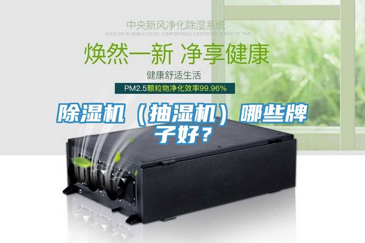 除濕機（抽濕機）哪些牌子好？