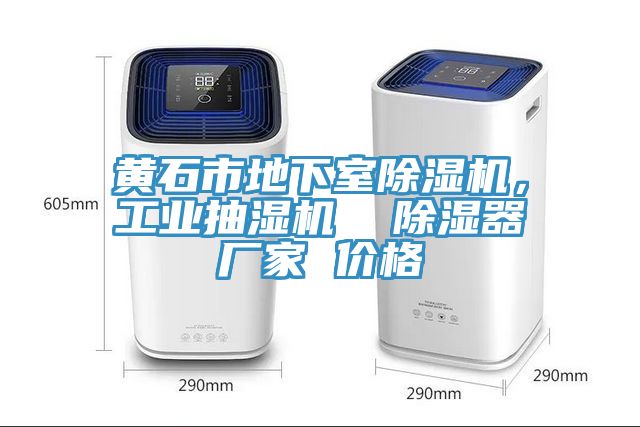 黃石市地下室除濕機，工業(yè)抽濕機  除濕器廠家 價格