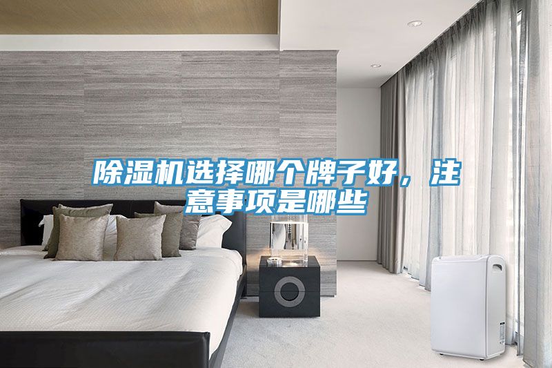 除濕機(jī)選擇哪個(gè)牌子好，注意事項(xiàng)是哪些
