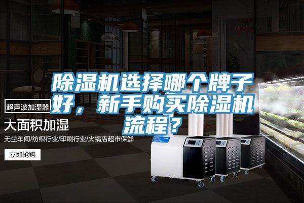除濕機(jī)選擇哪個(gè)牌子好，新手購買除濕機(jī)流程？