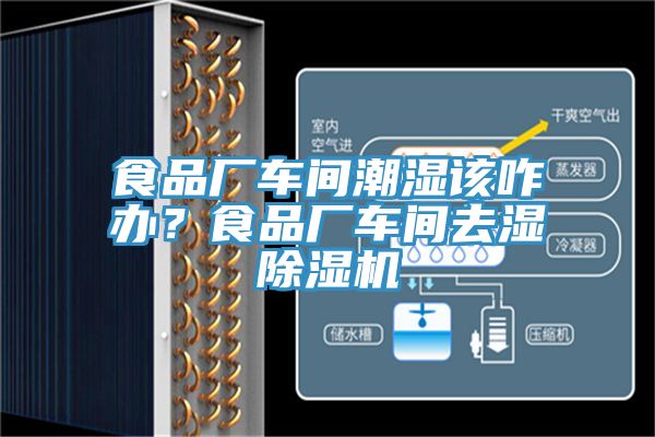 食品廠車間潮濕該咋辦？食品廠車間去濕除濕機