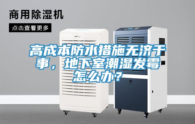 高成本防水措施無濟(jì)于事，地下室潮濕發(fā)霉怎么辦？