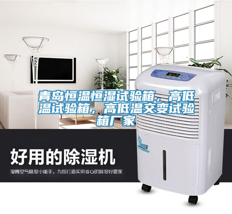 青島恒溫恒濕試驗箱，高低溫試驗箱，高低溫交變試驗箱廠家