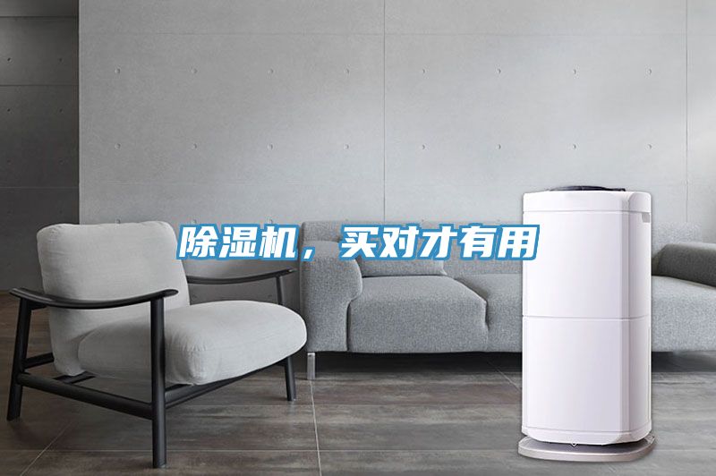 除濕機，買對才有用