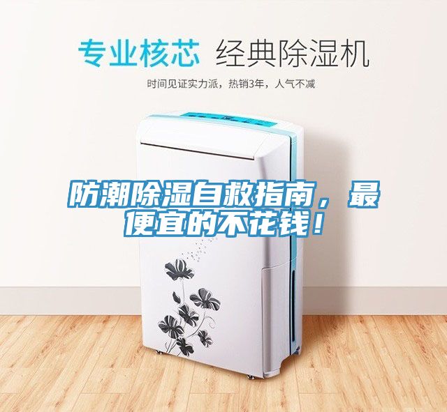 防潮除濕自救指南，最便宜的不花錢！