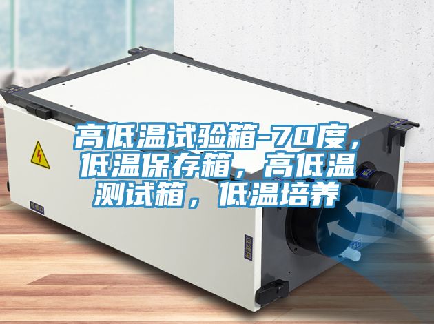 高低溫試驗(yàn)箱-70度，低溫保存箱，高低溫測(cè)試箱，低溫培養(yǎng)