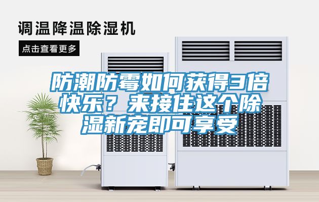 防潮防霉如何獲得3倍快樂？來接住這個除濕新寵即可享受