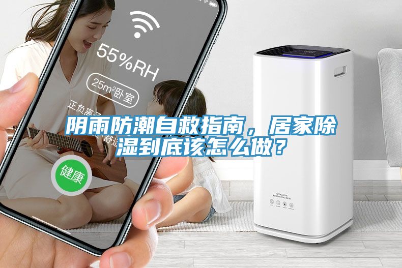 陰雨防潮自救指南，居家除濕到底該怎么做？