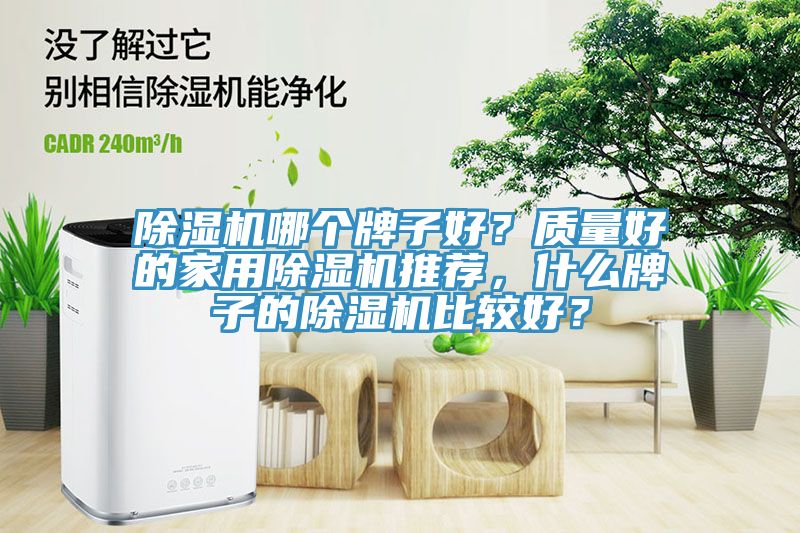除濕機(jī)哪個牌子好？質(zhì)量好的家用除濕機(jī)推薦，什么牌子的除濕機(jī)比較好？