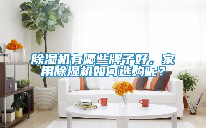 除濕機(jī)有哪些牌子好，家用除濕機(jī)如何選購(gòu)呢？