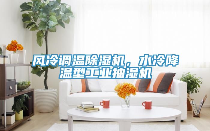 風(fēng)冷調(diào)溫除濕機(jī)，水冷降溫型工業(yè)抽濕機(jī)