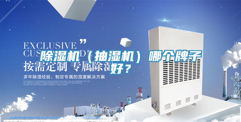 除濕機(jī)（抽濕機(jī)）哪個(gè)牌子好？