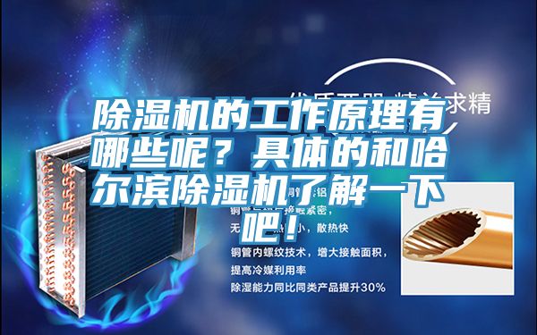 除濕機(jī)的工作原理有哪些呢？具體的和哈爾濱除濕機(jī)了解一下吧！