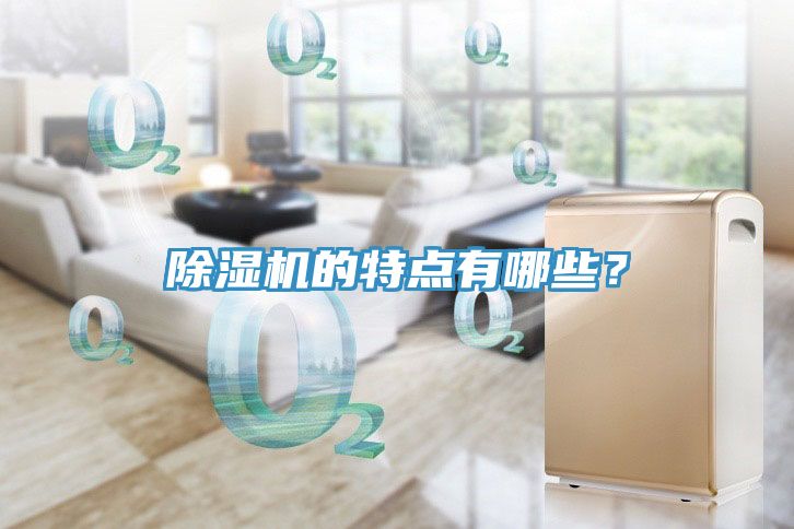 除濕機(jī)的特點(diǎn)有哪些？