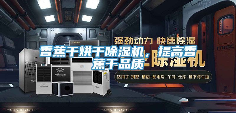 香蕉干烘干除濕機，提高香蕉干品質(zhì)