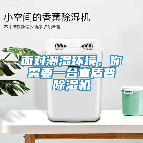 面對(duì)潮濕環(huán)境，你需要一臺(tái)宜盾普除濕機(jī)