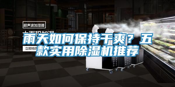 雨天如何保持干爽？五款實(shí)用除濕機(jī)推薦