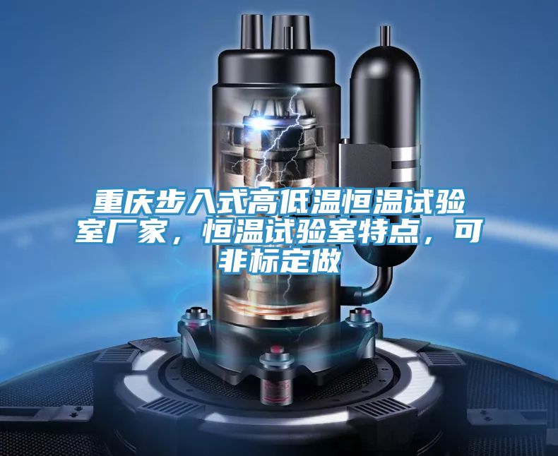 重慶步入式高低溫恒溫試驗(yàn)室廠家，恒溫試驗(yàn)室特點(diǎn)，可非標(biāo)定做